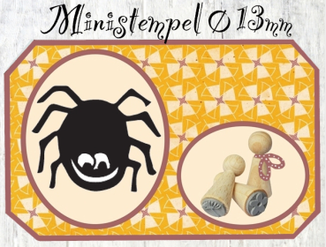 Spinne