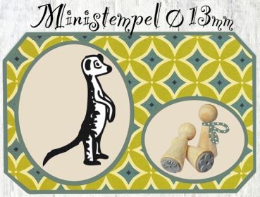 Erdmännchen stehend